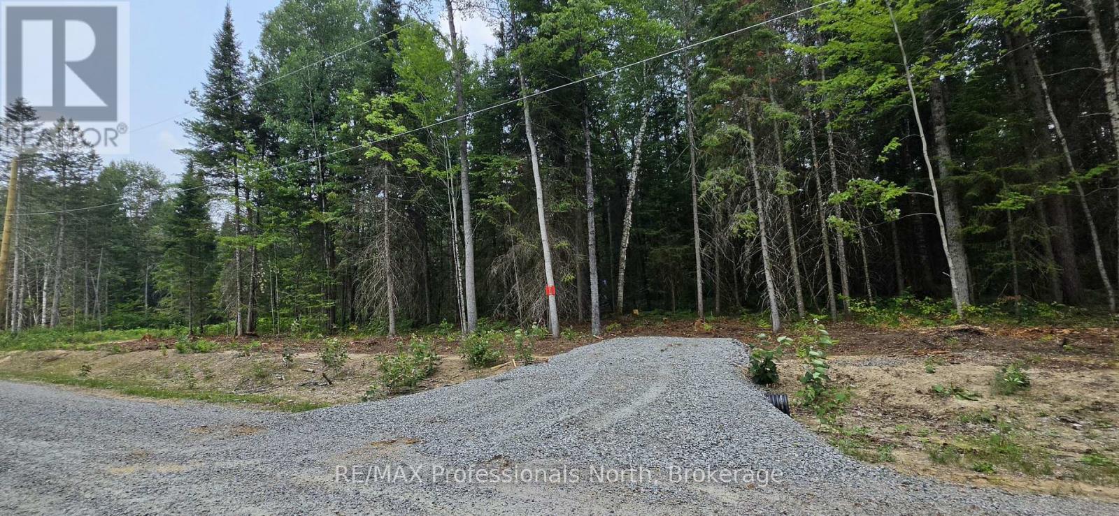 01 Sale Road, Lake Of Bays, Ontario  P0A 1H0 - Photo 3 - X13576540