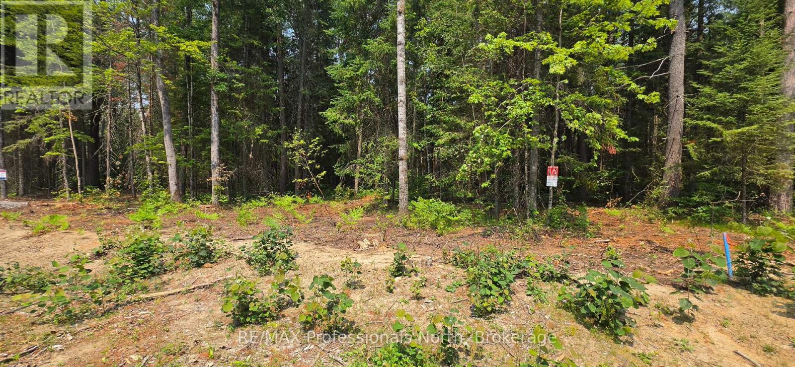 01 Sale Road, Lake Of Bays, Ontario  P0A 1H0 - Photo 4 - X13576540