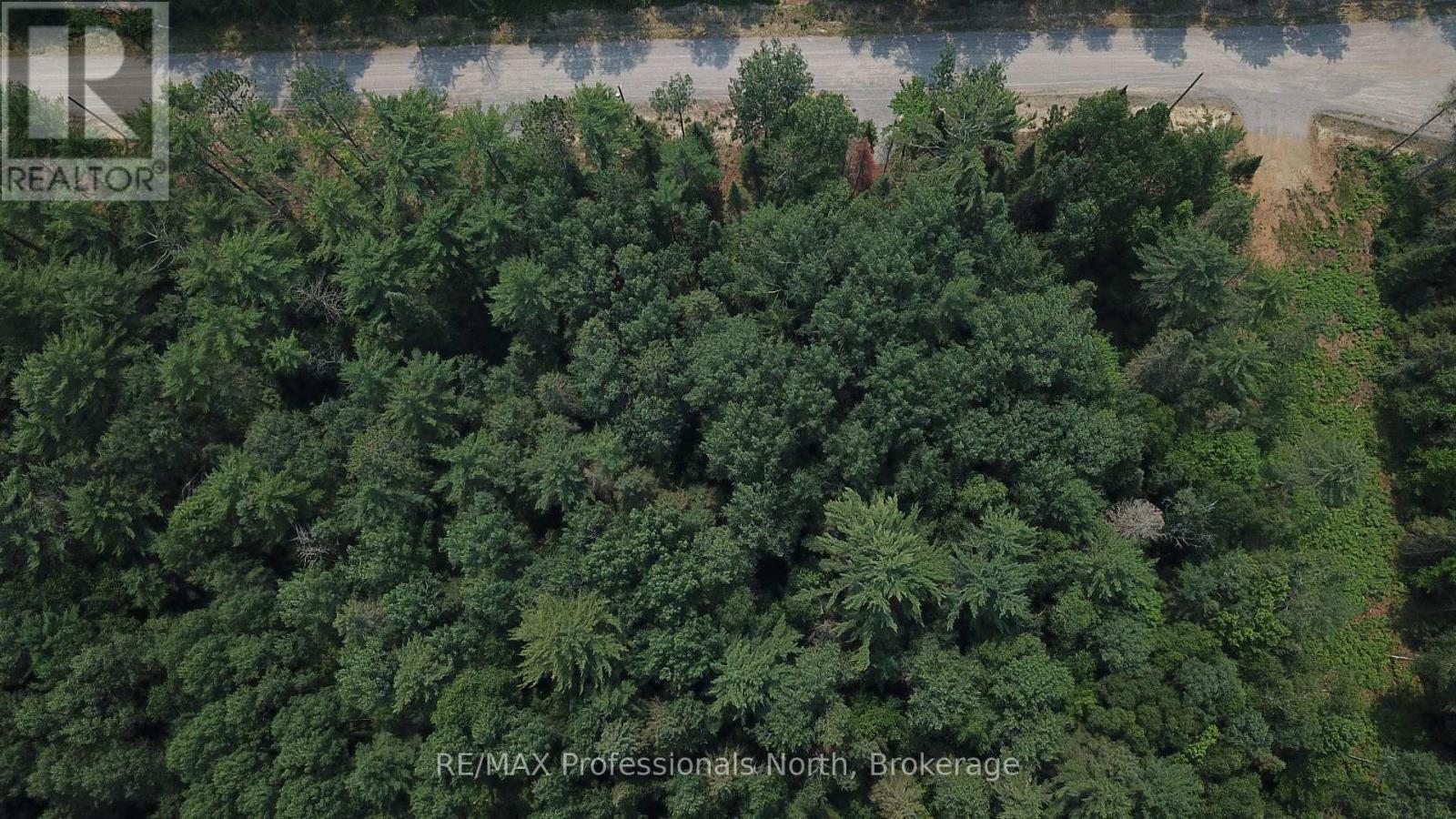 01 Sale Road, Lake Of Bays, Ontario  P0A 1H0 - Photo 8 - X13576540