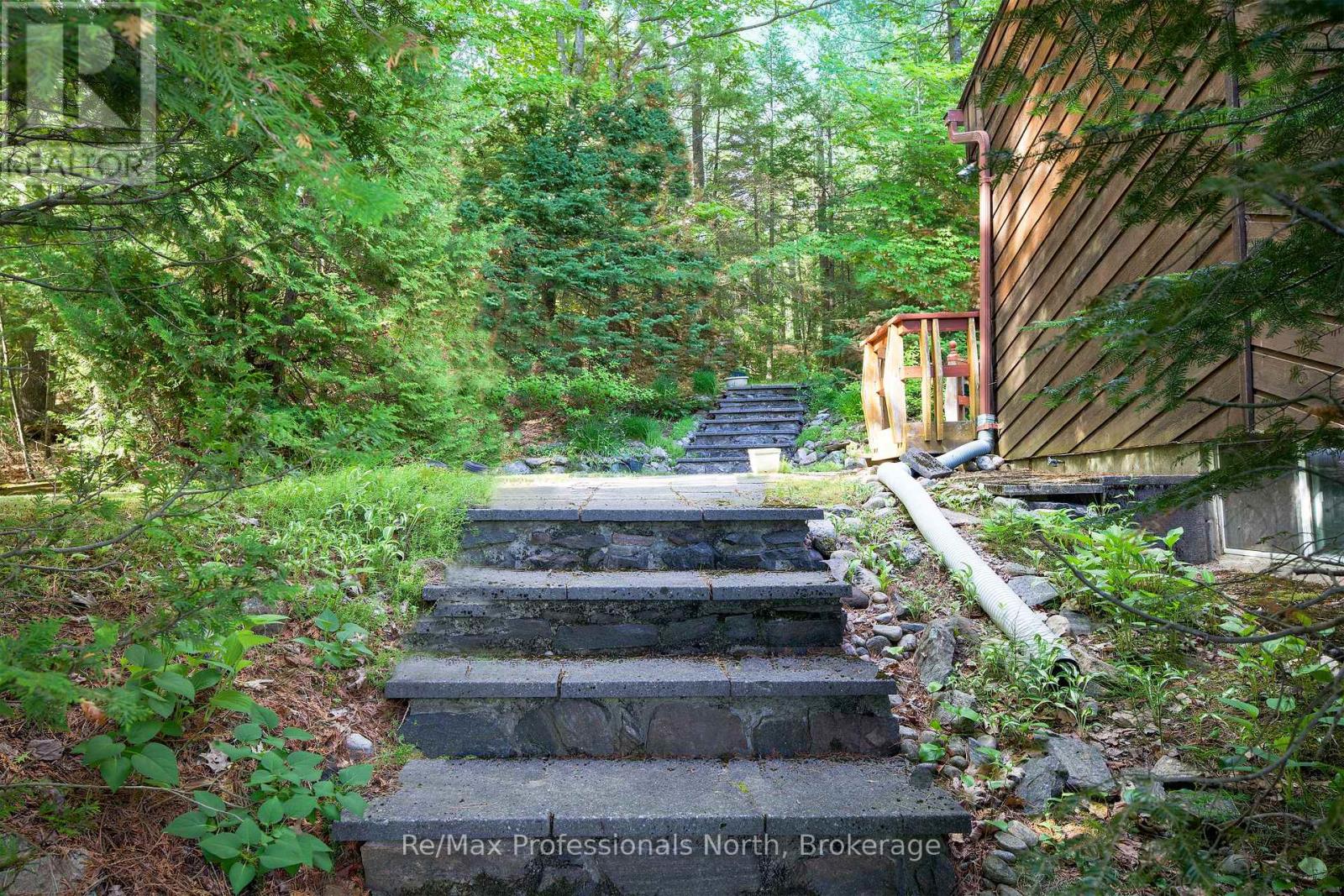 673 Peninsula Road W, Gravenhurst, Ontario  P1P 0E2 - Photo 8 - X13579854