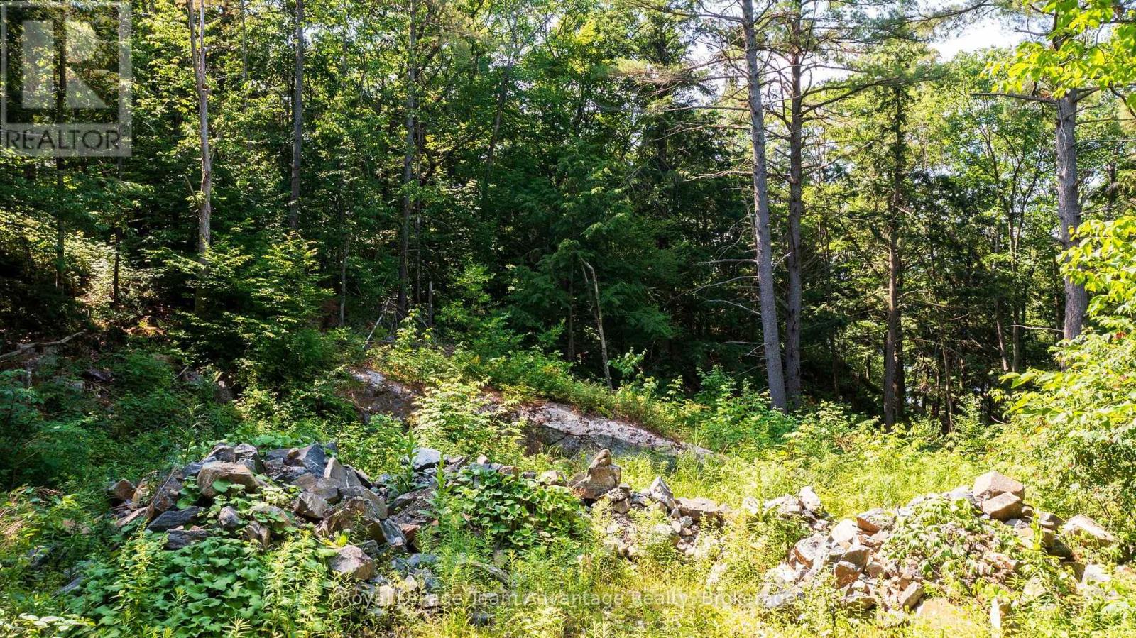 12 Perraults Bay Road, Seguin, Ontario  P2A 2X3 - Photo 21 - X13584508