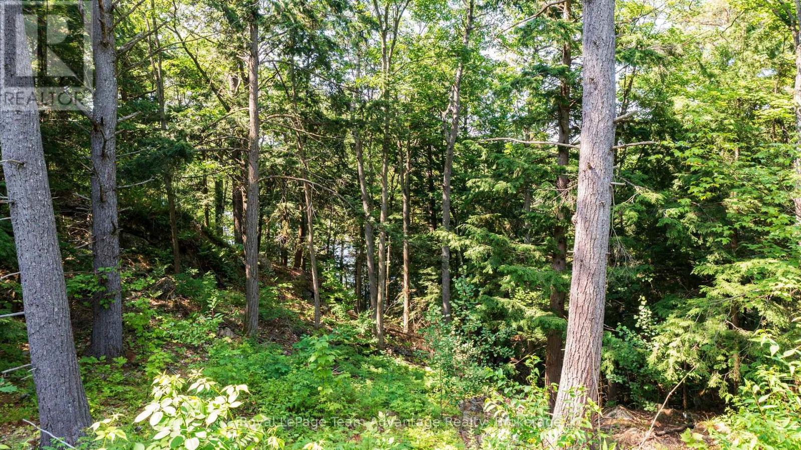 12 Perraults Bay Road, Seguin, Ontario  P2A 2X3 - Photo 22 - X13584508