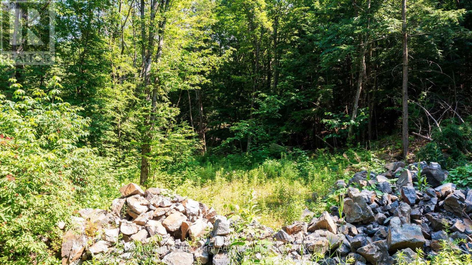 12 Perraults Bay Road, Seguin, Ontario  P2A 2X3 - Photo 23 - X13584508