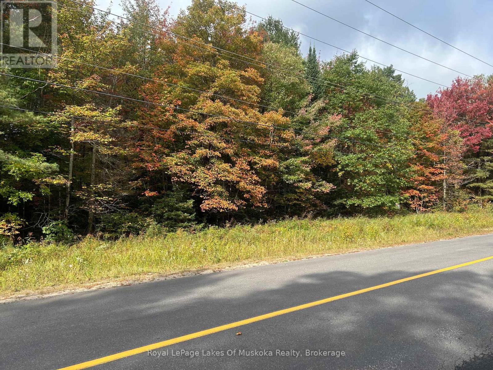 Pt2 35r 132264 Bonnie Lake Road, Bracebridge, Ontario  P1L 1W9 - Photo 1 - X13588784