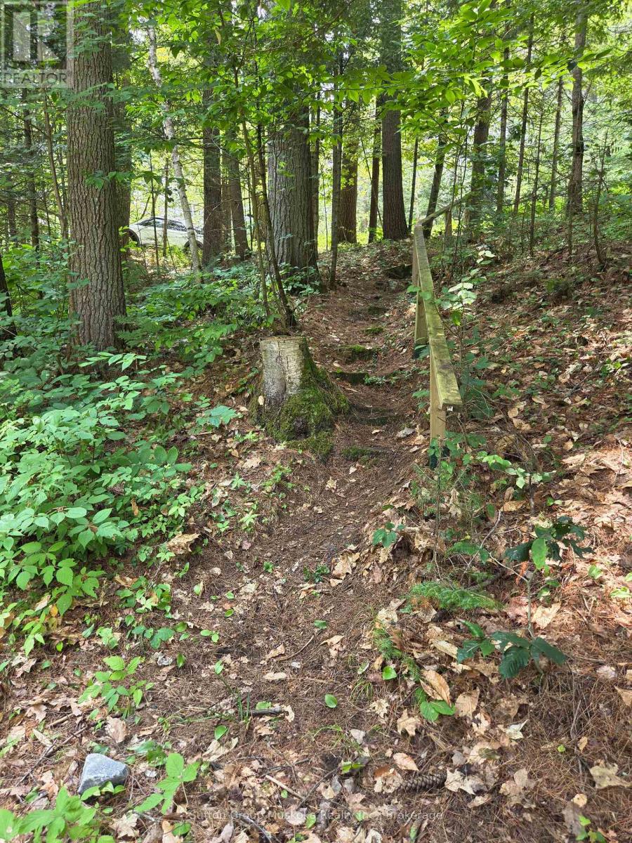 699 South Mary Lake Road, Huntsville, Ontario  P0B 1L0 - Photo 36 - X13590942