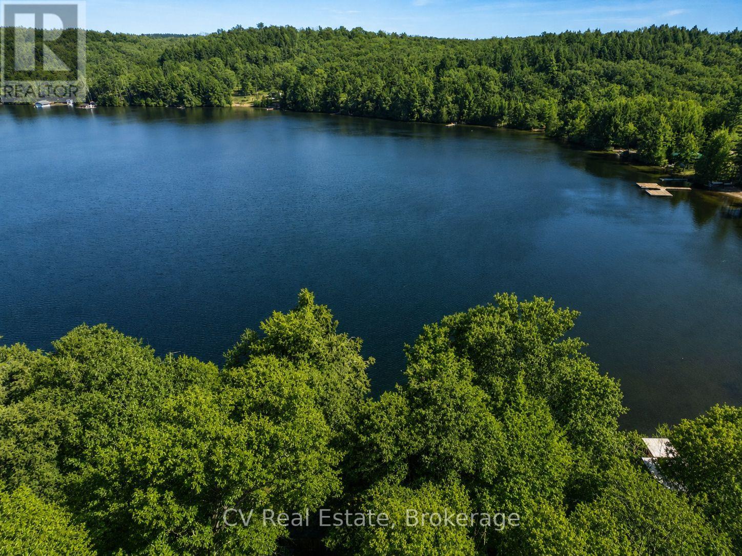 5 - 1117 Bert Sims Road N, Muskoka Lakes, Ontario  P0B 1M0 - Photo 3 - X13593756