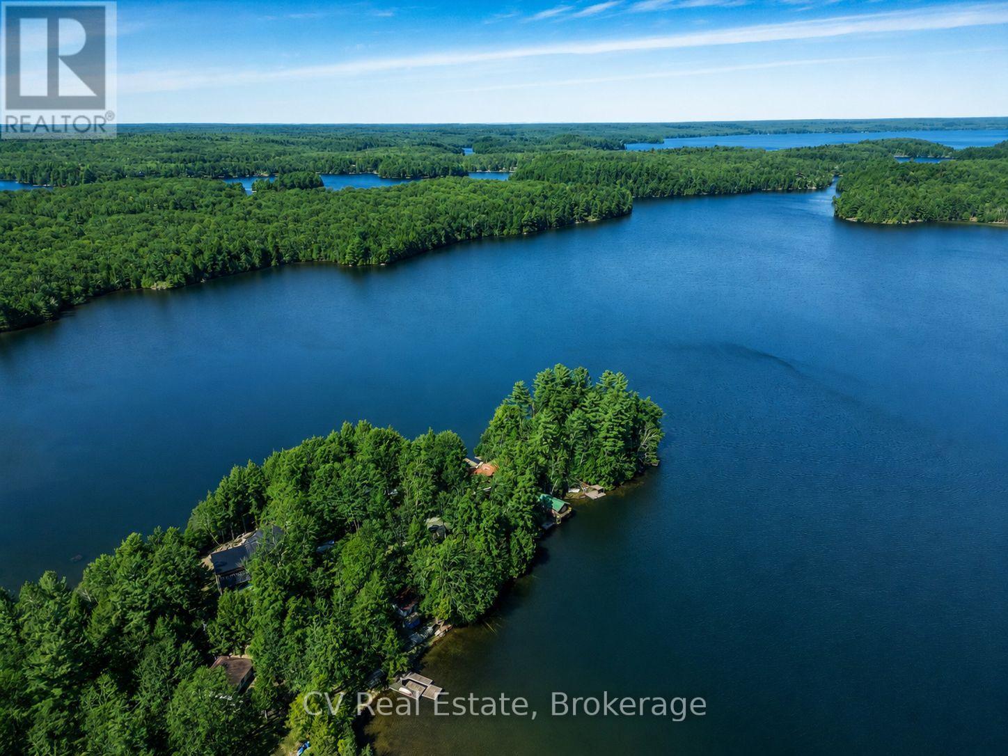 5 - 1117 Bert Sims Road N, Muskoka Lakes, Ontario  P0B 1M0 - Photo 4 - X13593756