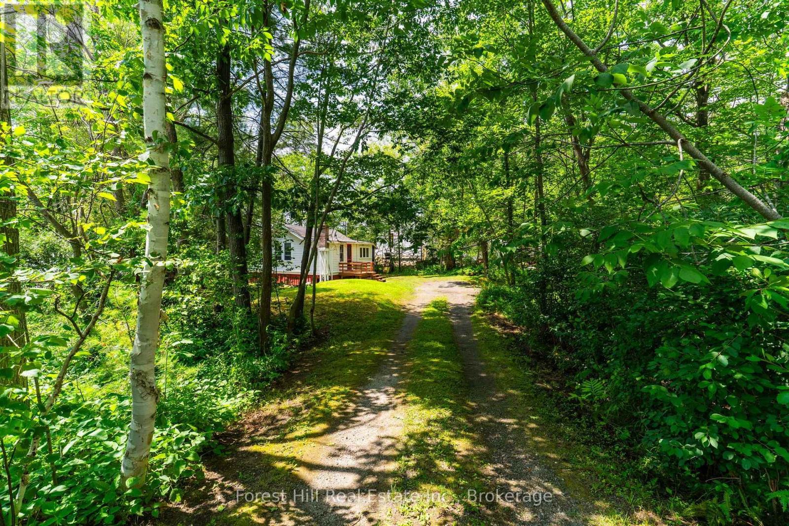 Unit 1 - 2871 Muskoka Road 169 Road, Muskoka Lakes, Ontario  P0C 1A0 - Photo 33 - X13594594