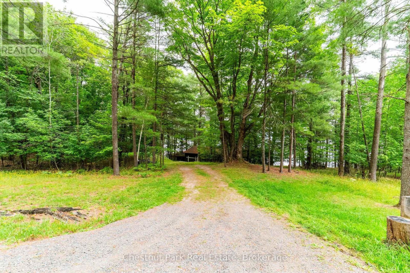1049 Sagamo Boulevard, Muskoka Lakes, Ontario  P0B 1J0 - Photo 10 - X13595278