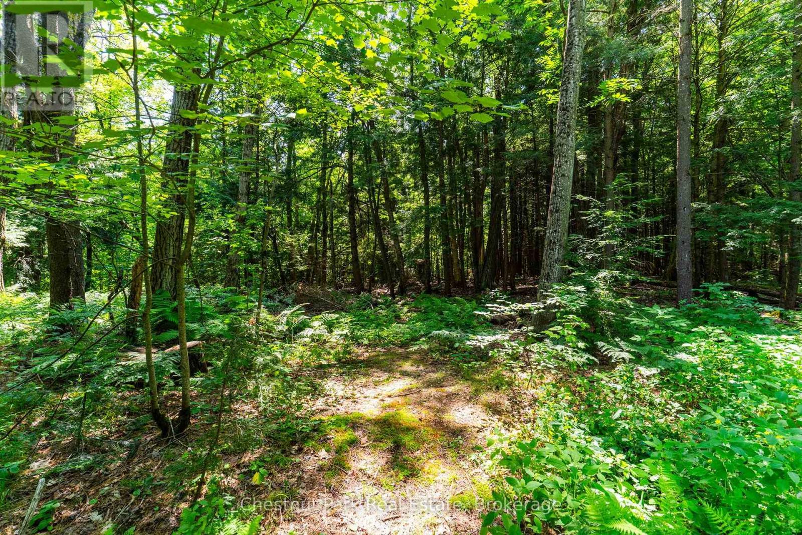 1130 Taylor Road, Bracebridge, Ontario  P1L 0A1 - Photo 31 - X13597458