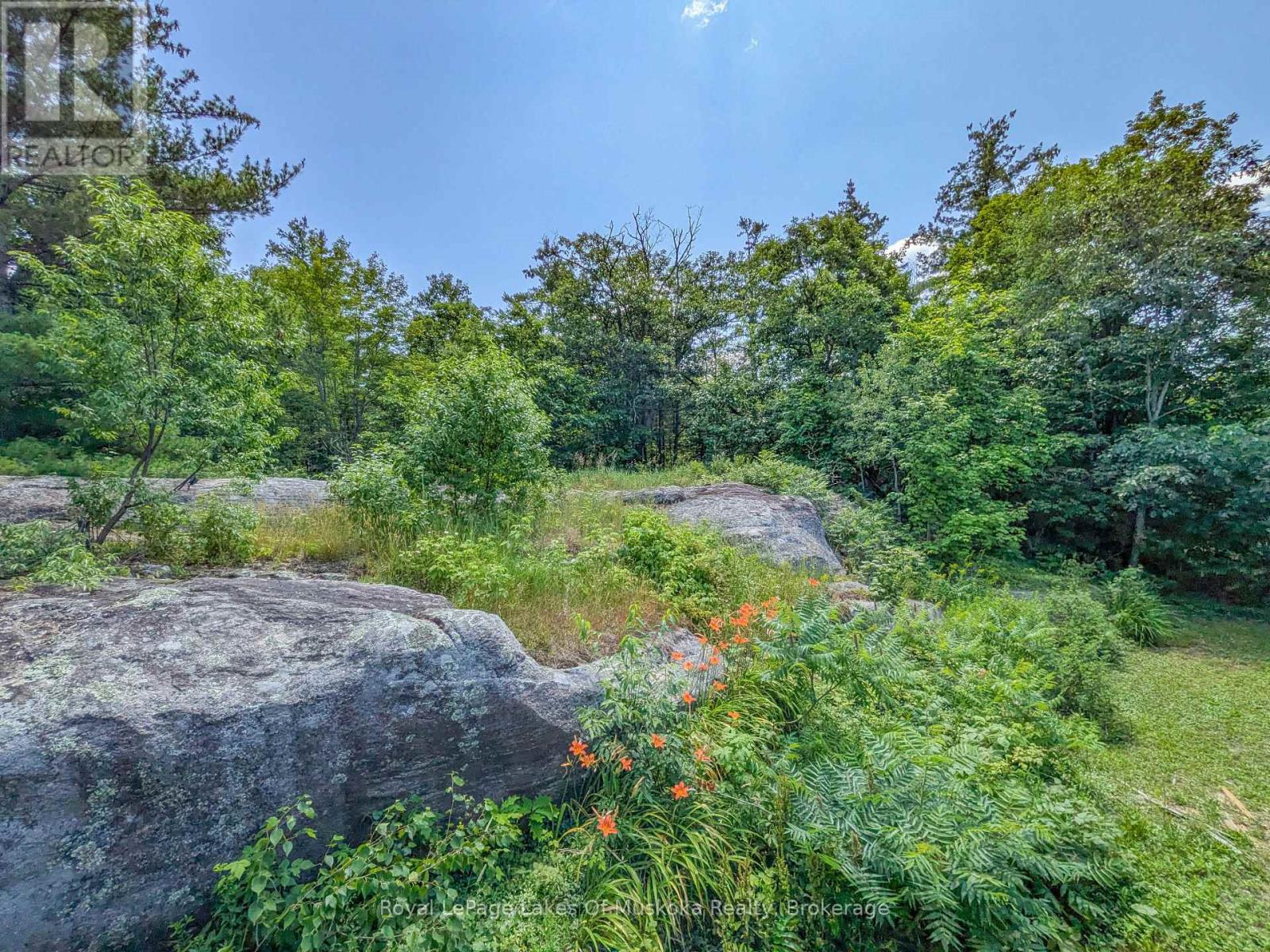 1314 Winhara Road, Gravenhurst, Ontario  P1P 1R1 - Photo 2 - X13599200