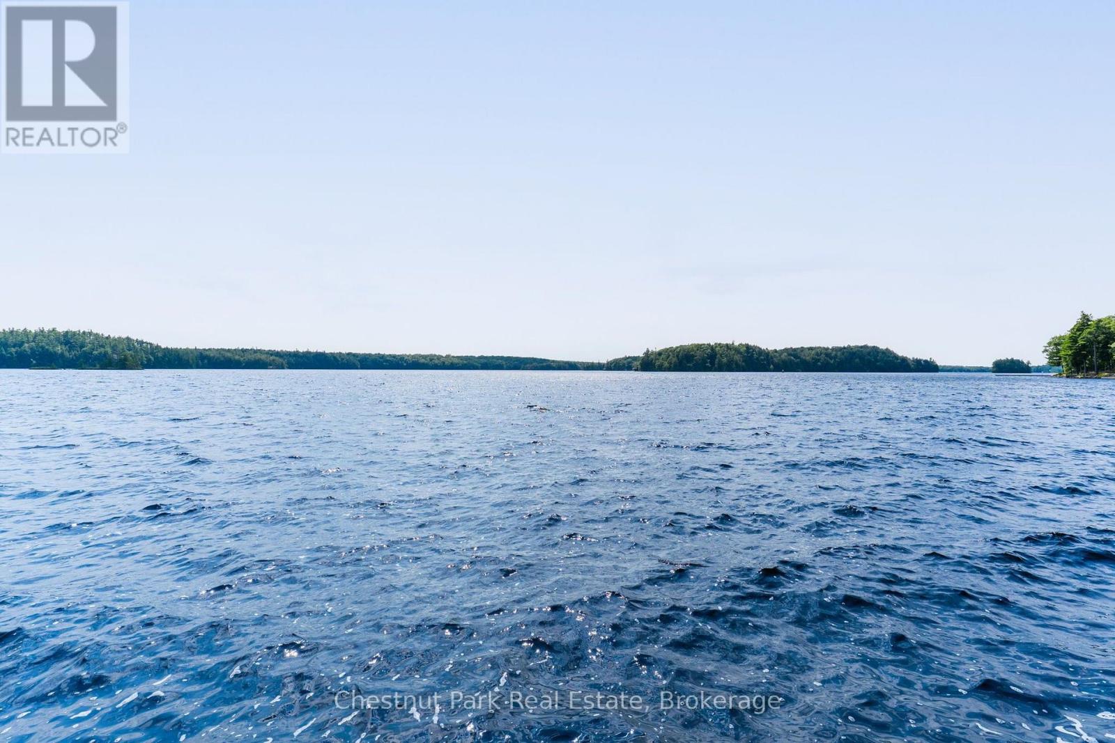 9 (9 Renley Rd) - 1181 Walkers Point Road, Muskoka Lakes, Ontario  P1P 1R2 - Photo 3 - X13600132
