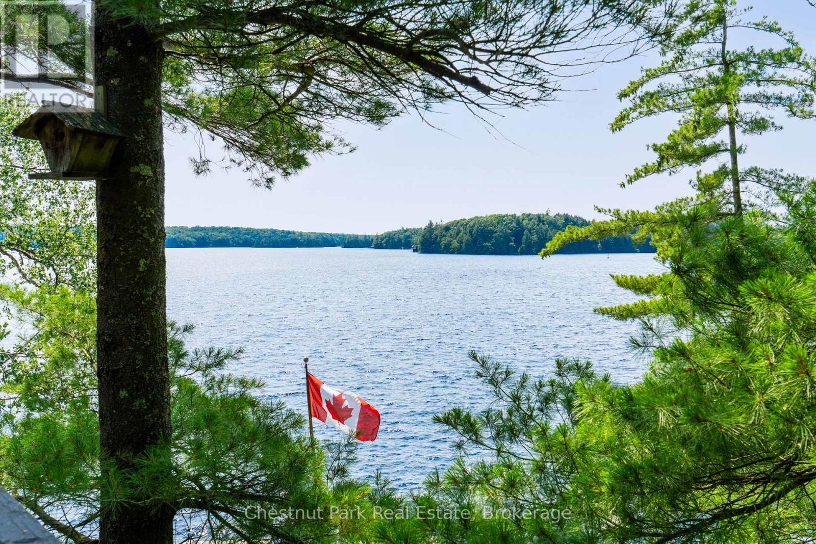 9 (9 Renley Rd) - 1181 Walkers Point Road, Muskoka Lakes, Ontario  P1P 1R2 - Photo 8 - X13600132
