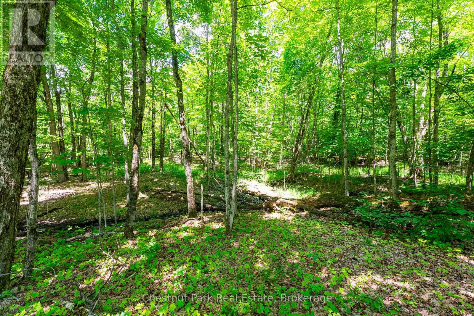 1435 Juddhaven Road, Muskoka Lakes, Ontario  P0B 1J0 - Photo 6 - X13603836