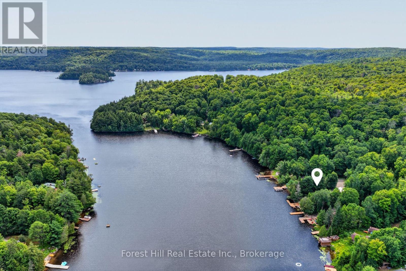 1355 Bellwood Acres Road, Lake Of Bays, Ontario  P0A 1E0 - Photo 4 - X13604528