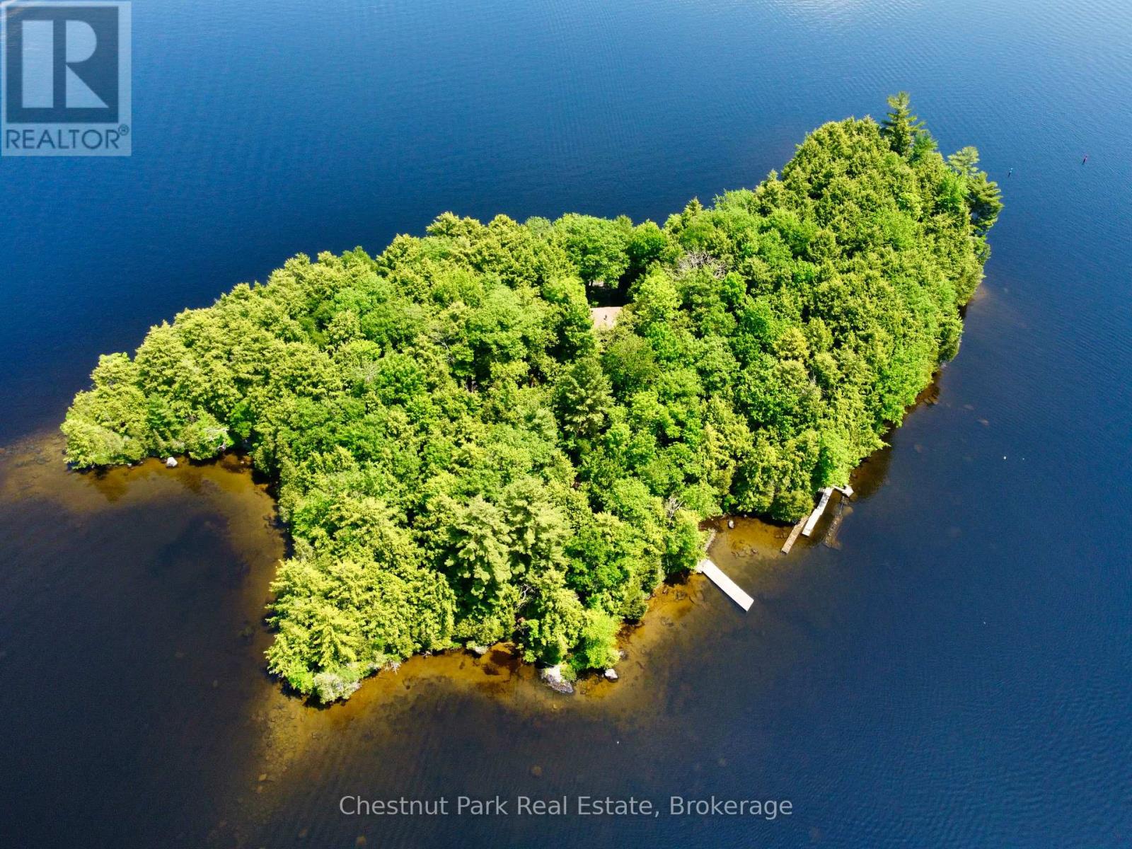 1 Cedar Island, Muskoka Lakes, Ontario  P0B 1J0 - Photo 1 - X13190574
