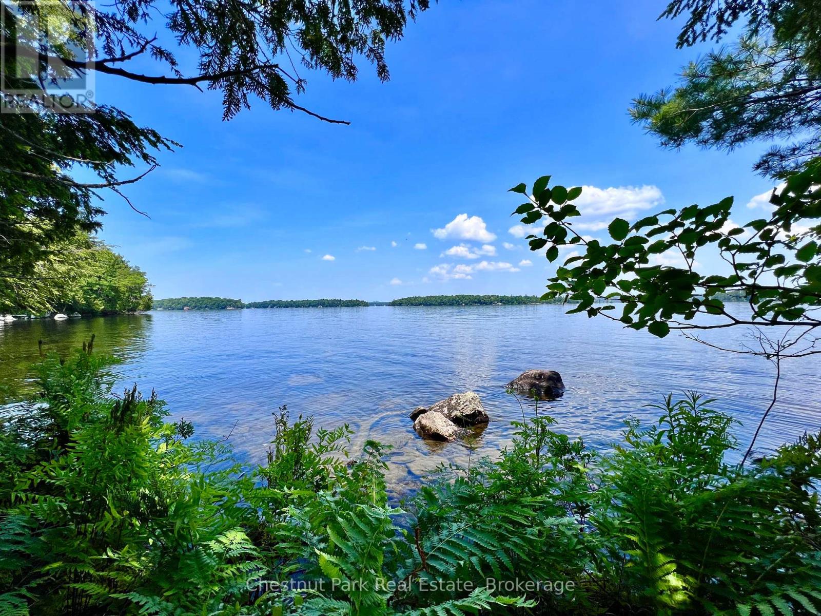 1 Cedar Island, Muskoka Lakes, Ontario  P0B 1J0 - Photo 11 - X13190574
