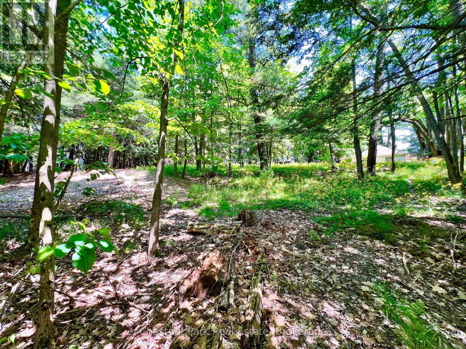1 Cedar Island, Muskoka Lakes, Ontario  P0B 1J0 - Photo 14 - X13190574