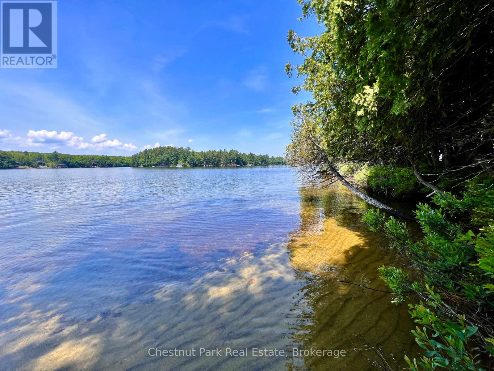 1 Cedar Island, Muskoka Lakes, Ontario  P0B 1J0 - Photo 16 - X13190574