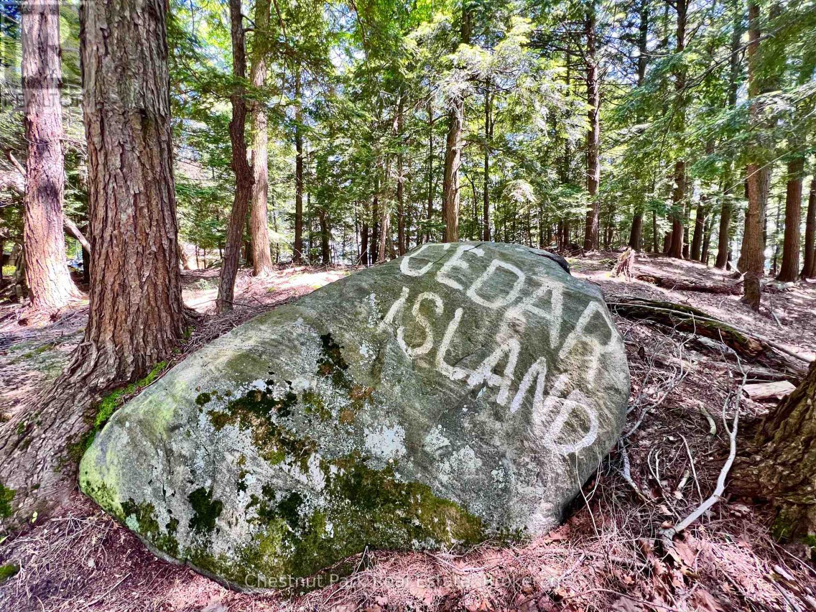 1 Cedar Island, Muskoka Lakes, Ontario  P0B 1J0 - Photo 17 - X13190574