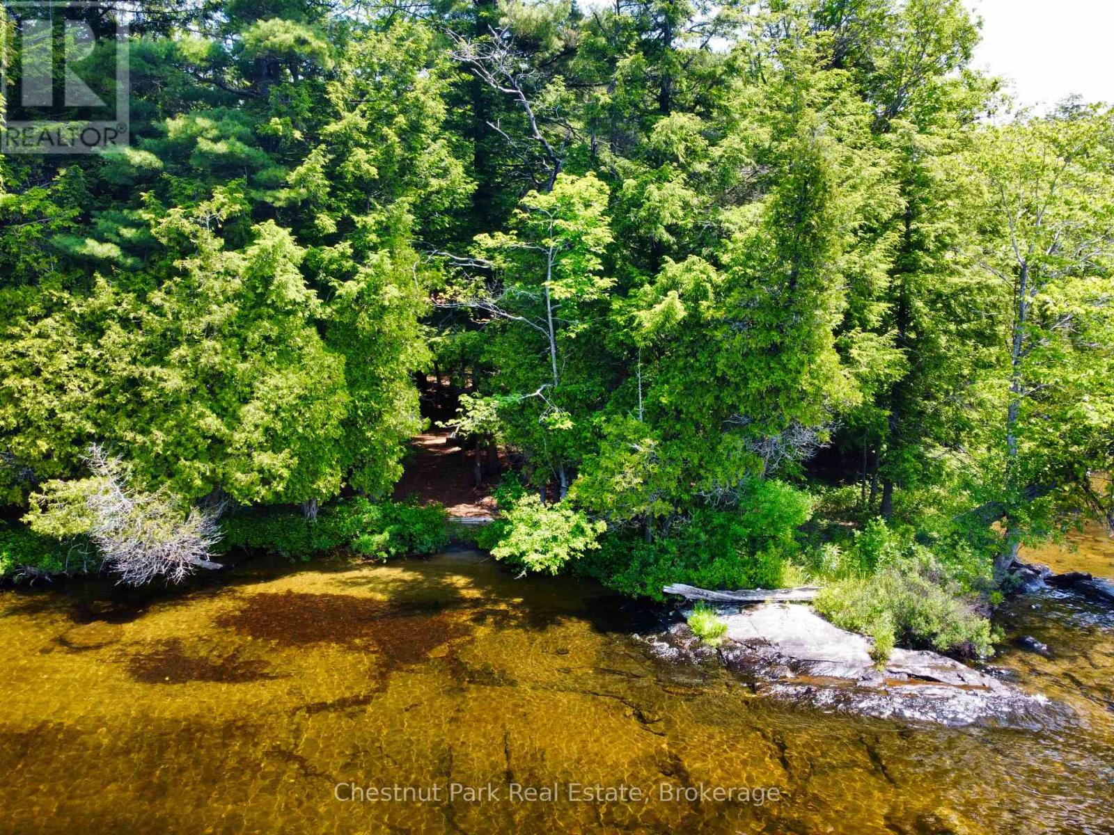 1 Cedar Island, Muskoka Lakes, Ontario  P0B 1J0 - Photo 18 - X13190574