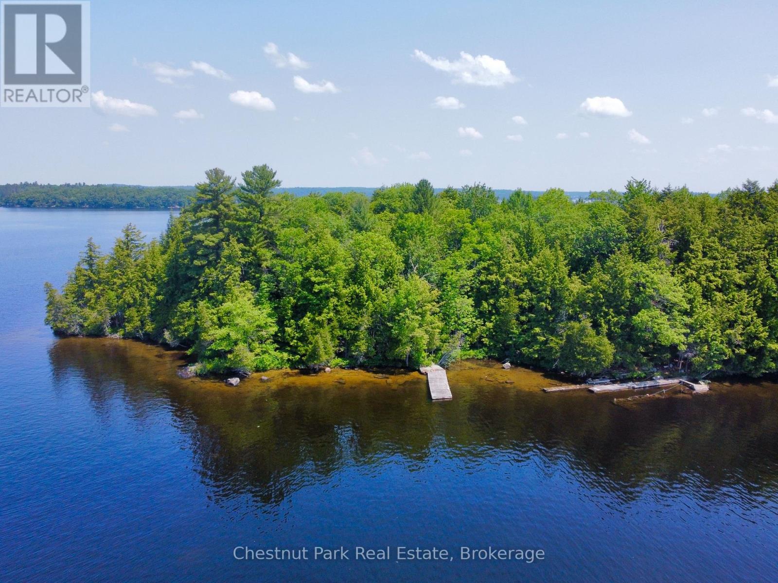 1 Cedar Island, Muskoka Lakes, Ontario  P0B 1J0 - Photo 19 - X13190574