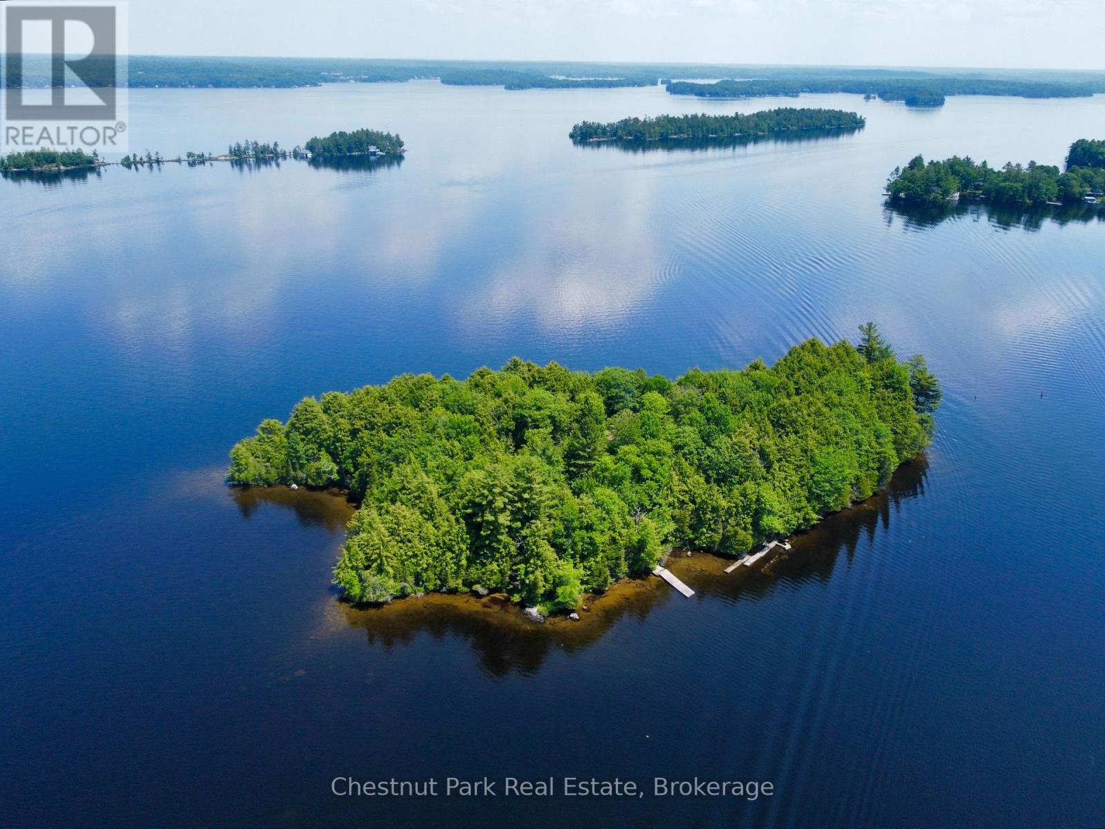 1 Cedar Island, Muskoka Lakes, Ontario  P0B 1J0 - Photo 21 - X13190574