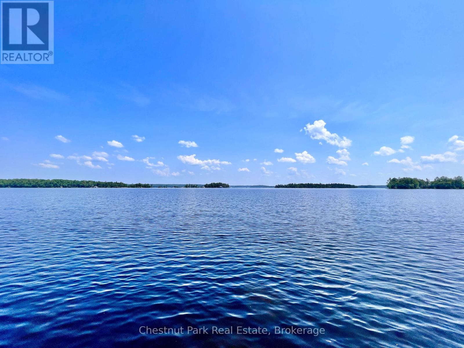 1 Cedar Island, Muskoka Lakes, Ontario  P0B 1J0 - Photo 3 - X13190574