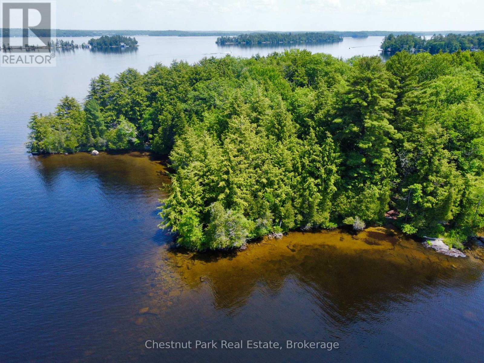 1 Cedar Island, Muskoka Lakes, Ontario  P0B 1J0 - Photo 4 - X13190574