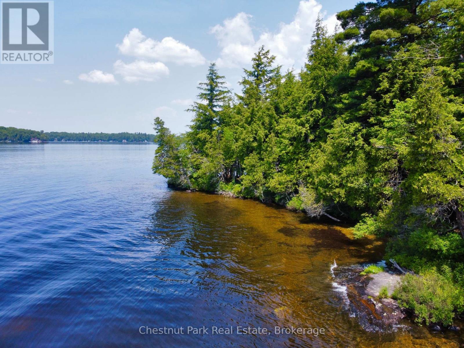 1 Cedar Island, Muskoka Lakes, Ontario  P0B 1J0 - Photo 5 - X13190574