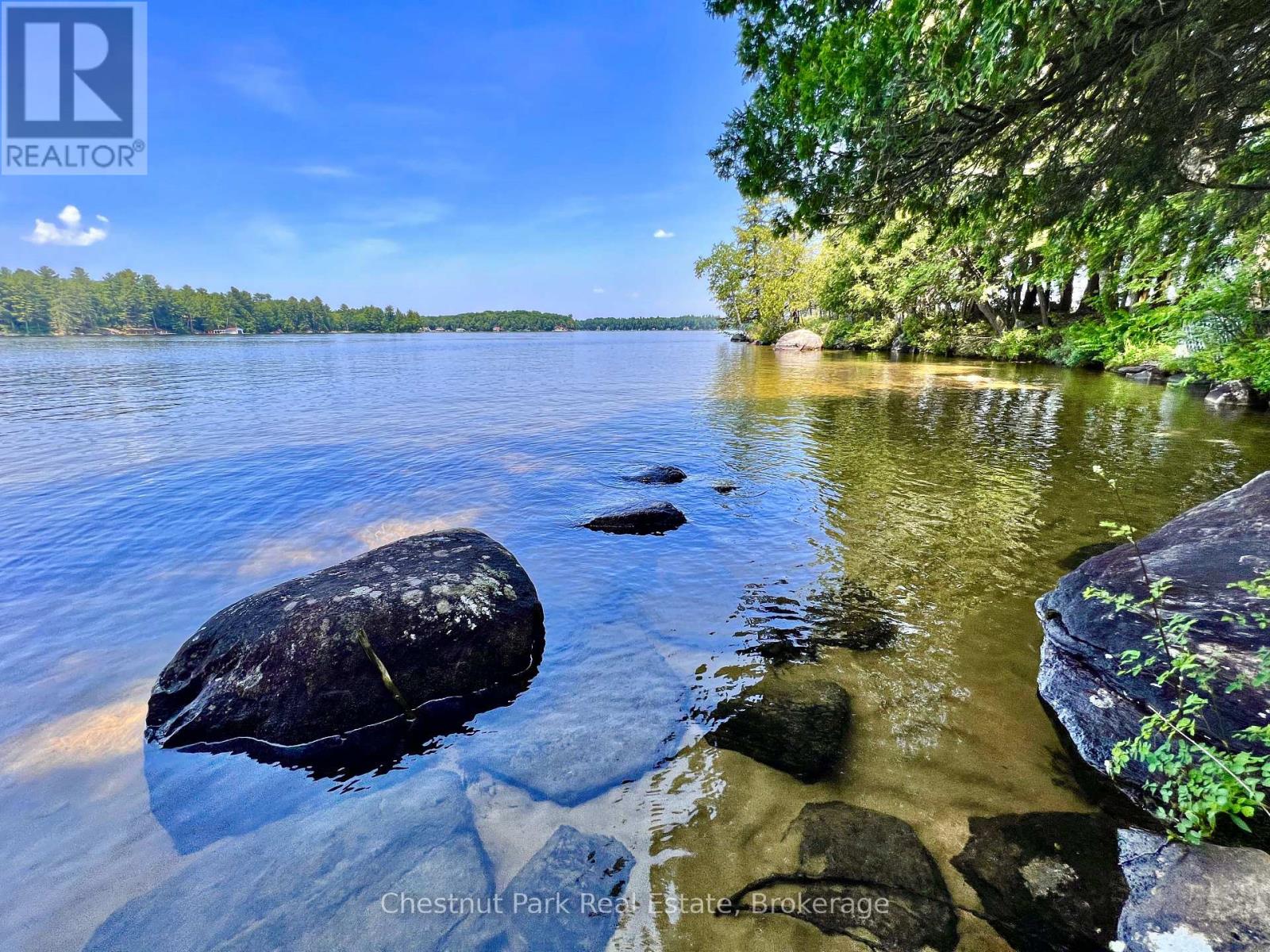 1 Cedar Island, Muskoka Lakes, Ontario  P0B 1J0 - Photo 6 - X13190574