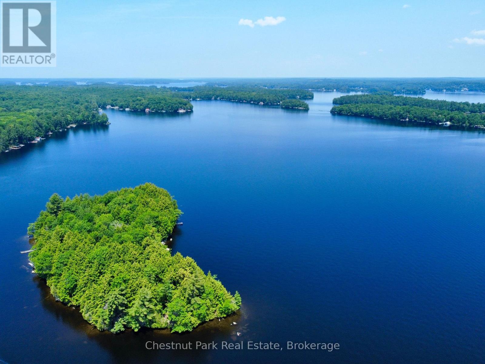 1 Cedar Island, Muskoka Lakes, Ontario  P0B 1J0 - Photo 7 - X13190574