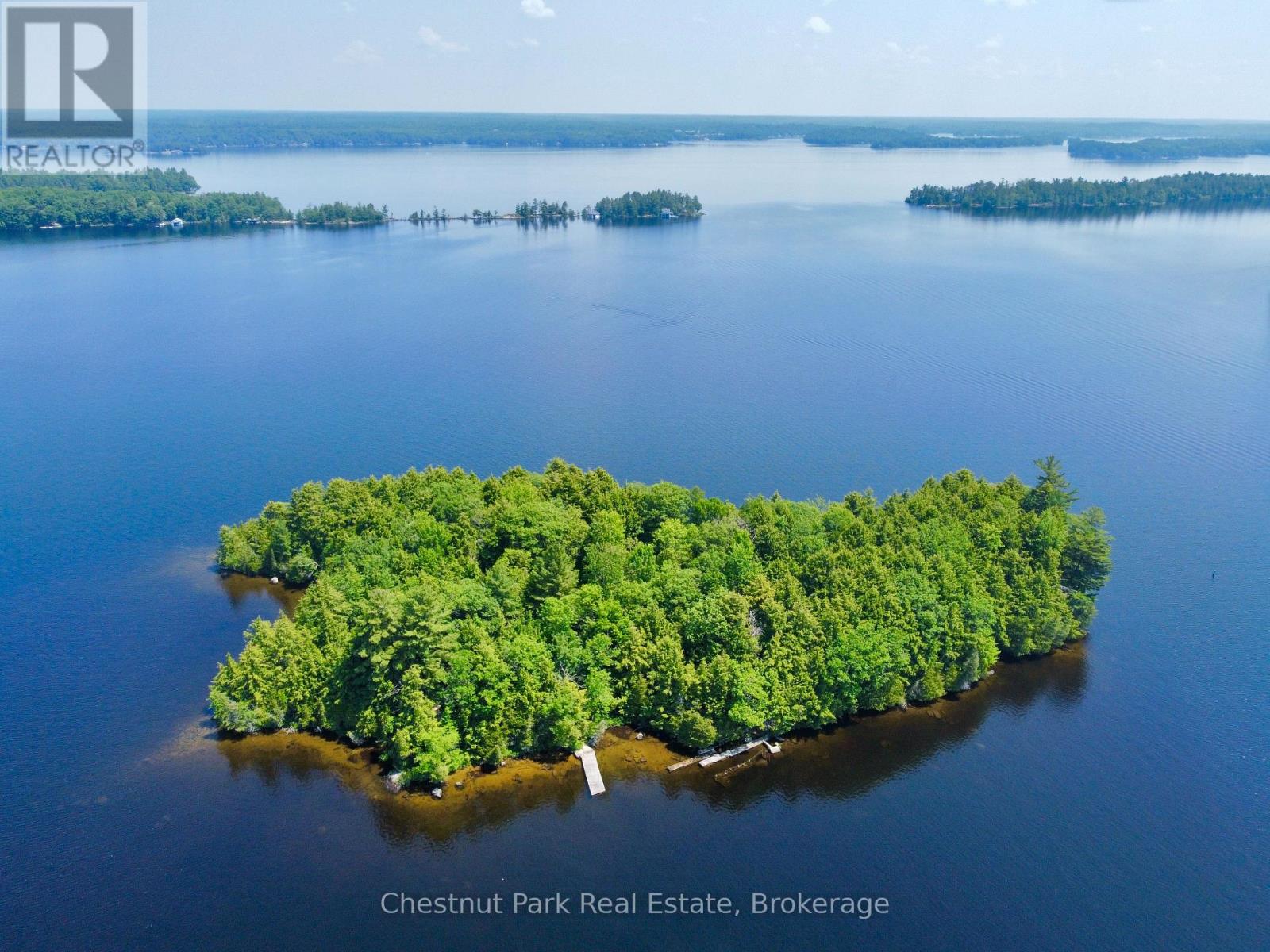 1 Cedar Island, Muskoka Lakes, Ontario  P0B 1J0 - Photo 8 - X13190574