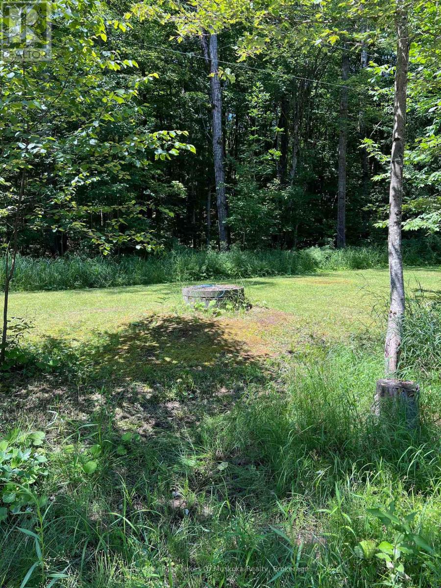 1096 Raymond Road, Muskoka Lakes, Ontario P0B 1M0 - Photo 20 - X13615212