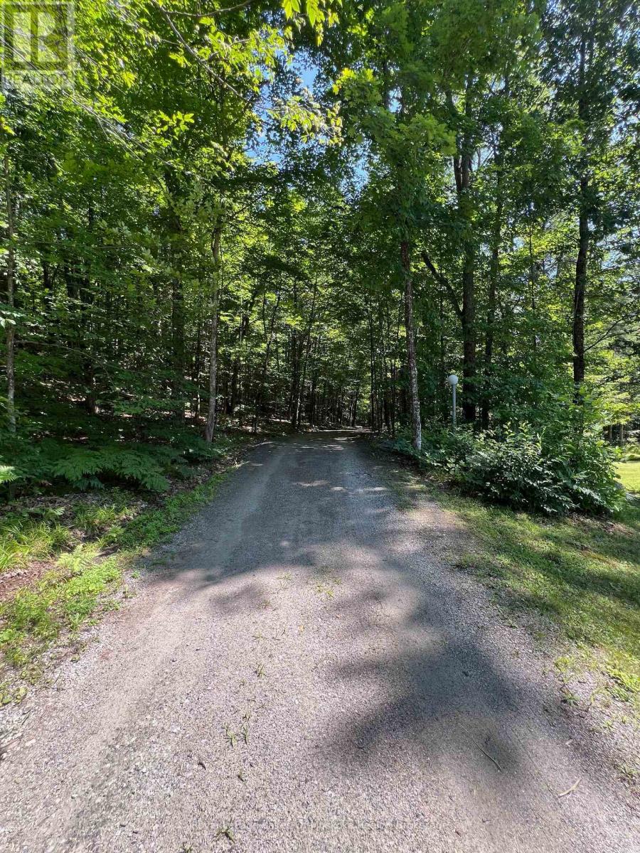 1096 Raymond Road, Muskoka Lakes, Ontario P0B 1M0 - Photo 6 - X13615212