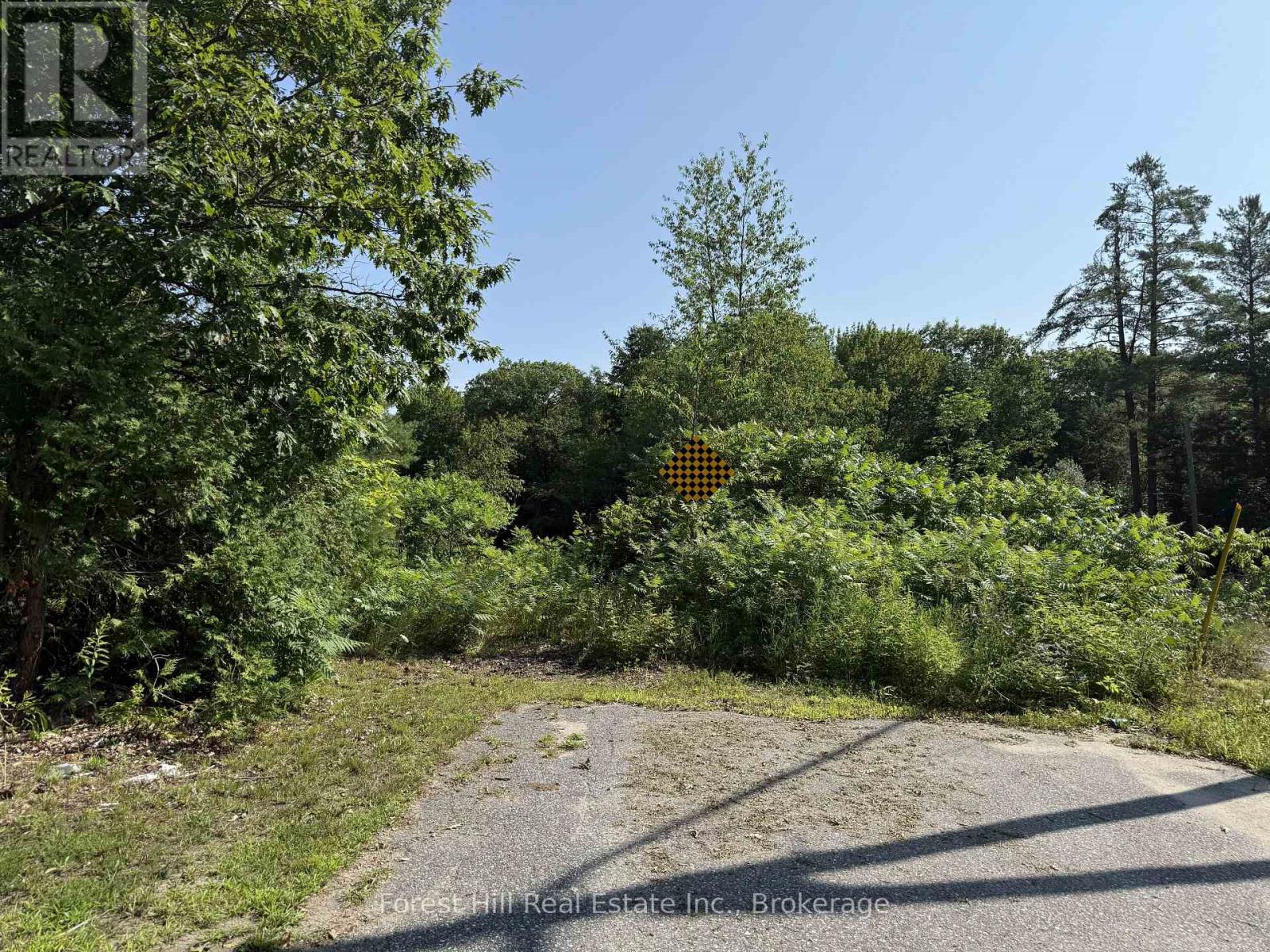 1033 Grey Street, Muskoka Lakes, Ontario  P0C 1A0 - Photo 13 - X13615888