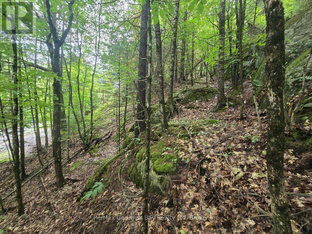 107 Balsam Chutes Road, Huntsville, Ontario  P0B 1L0 - Photo 1 - X13617186