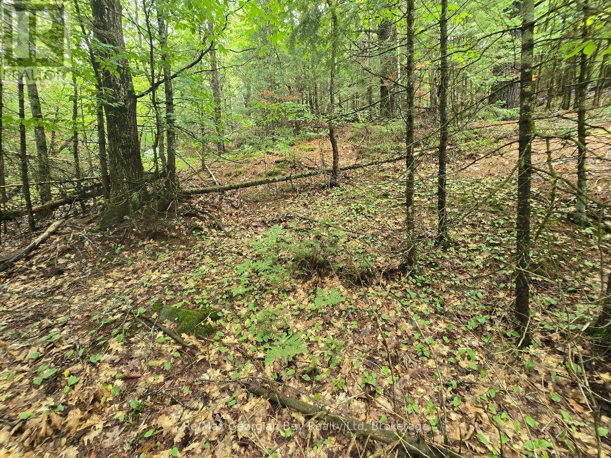 107 Balsam Chutes Road, Huntsville, Ontario  P0B 1L0 - Photo 11 - X13617186