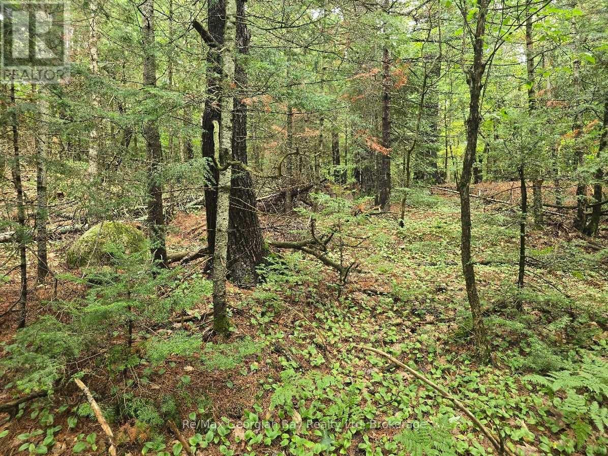 107 Balsam Chutes Road, Huntsville, Ontario  P0B 1L0 - Photo 12 - X13617186