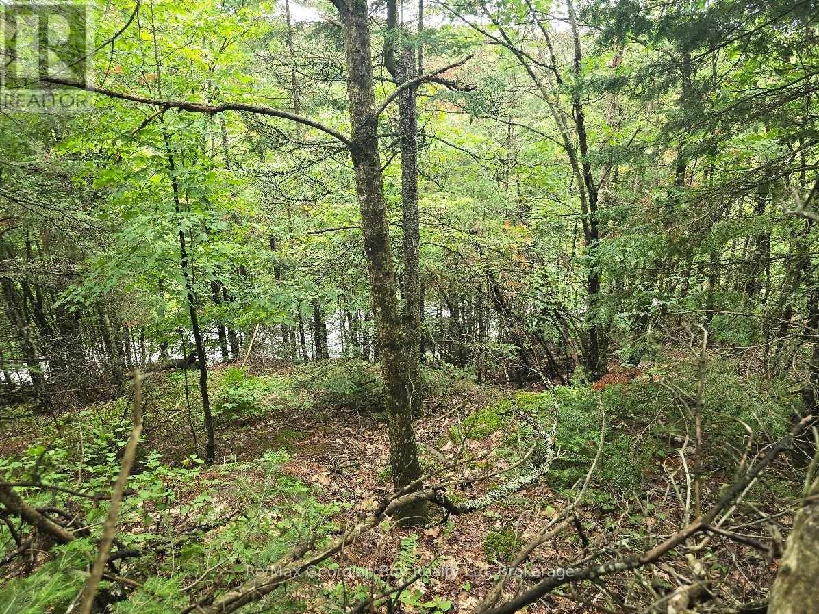 107 Balsam Chutes Road, Huntsville, Ontario  P0B 1L0 - Photo 13 - X13617186
