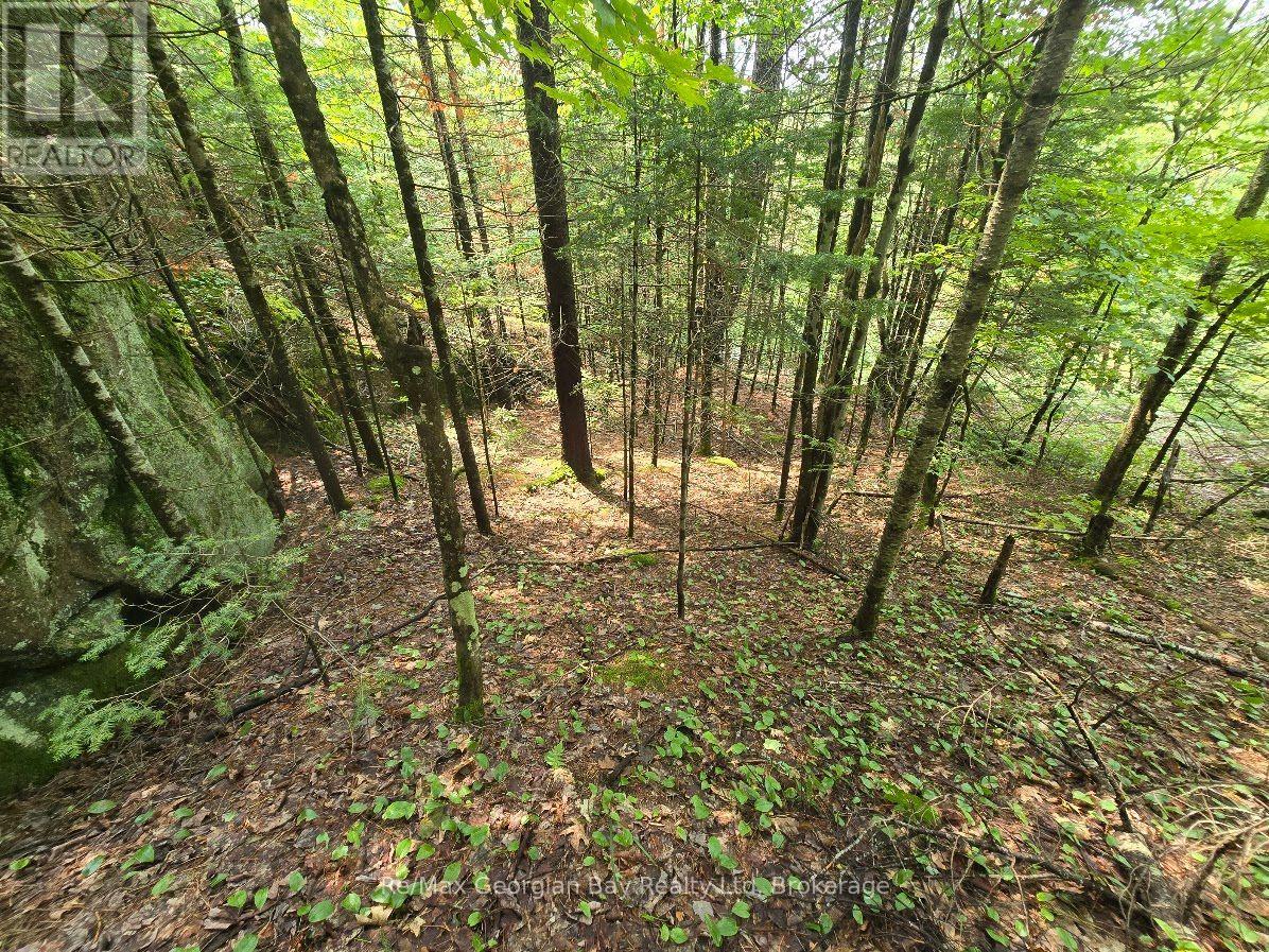 107 Balsam Chutes Road, Huntsville, Ontario  P0B 1L0 - Photo 14 - X13617186