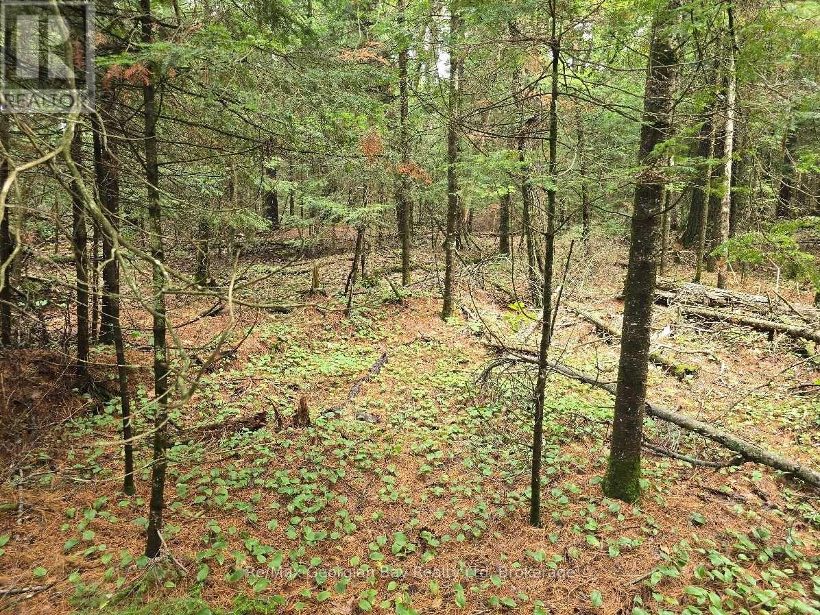 107 Balsam Chutes Road, Huntsville, Ontario  P0B 1L0 - Photo 15 - X13617186