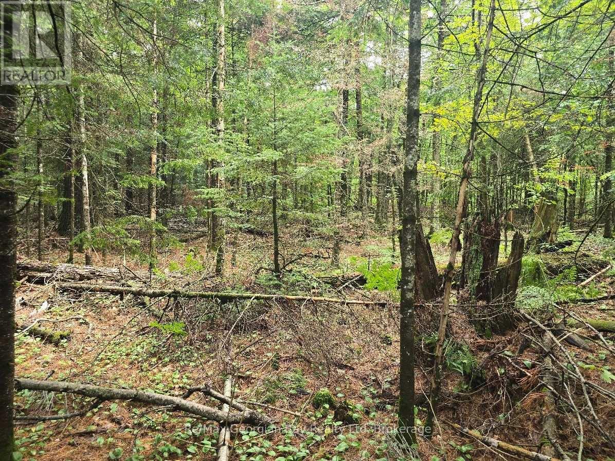 107 Balsam Chutes Road, Huntsville, Ontario  P0B 1L0 - Photo 16 - X13617186