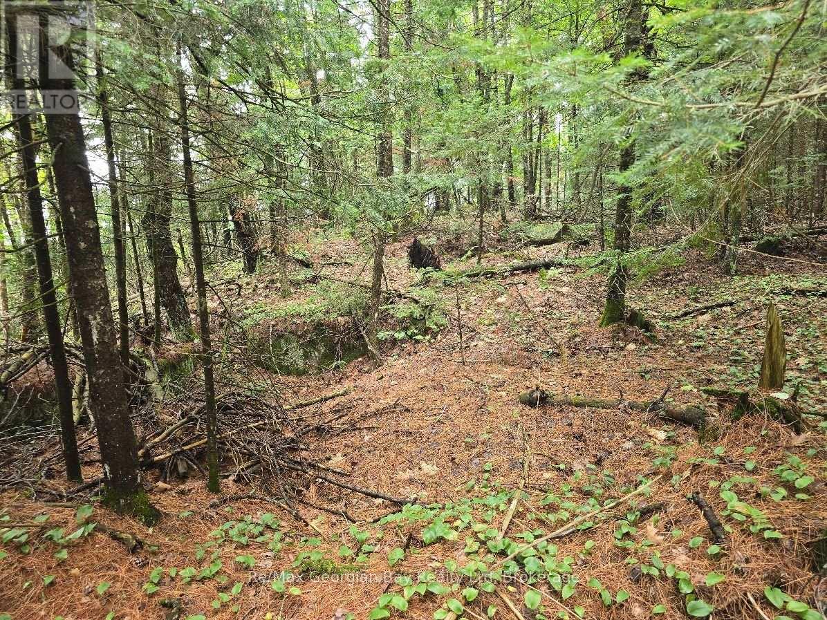 107 Balsam Chutes Road, Huntsville, Ontario  P0B 1L0 - Photo 18 - X13617186