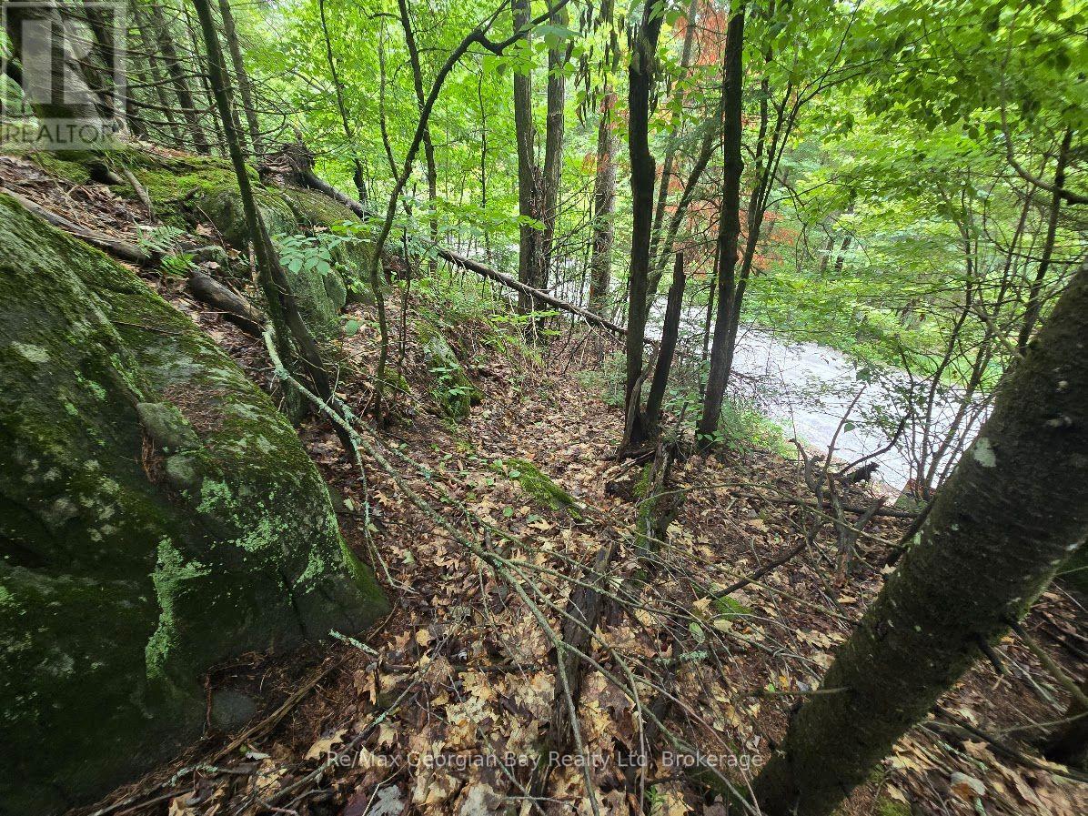 107 Balsam Chutes Road, Huntsville, Ontario  P0B 1L0 - Photo 2 - X13617186