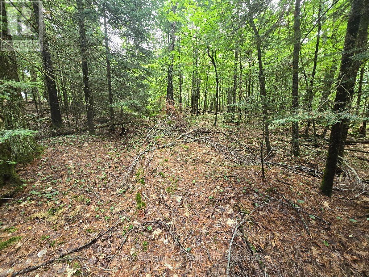 107 Balsam Chutes Road, Huntsville, Ontario  P0B 1L0 - Photo 20 - X13617186
