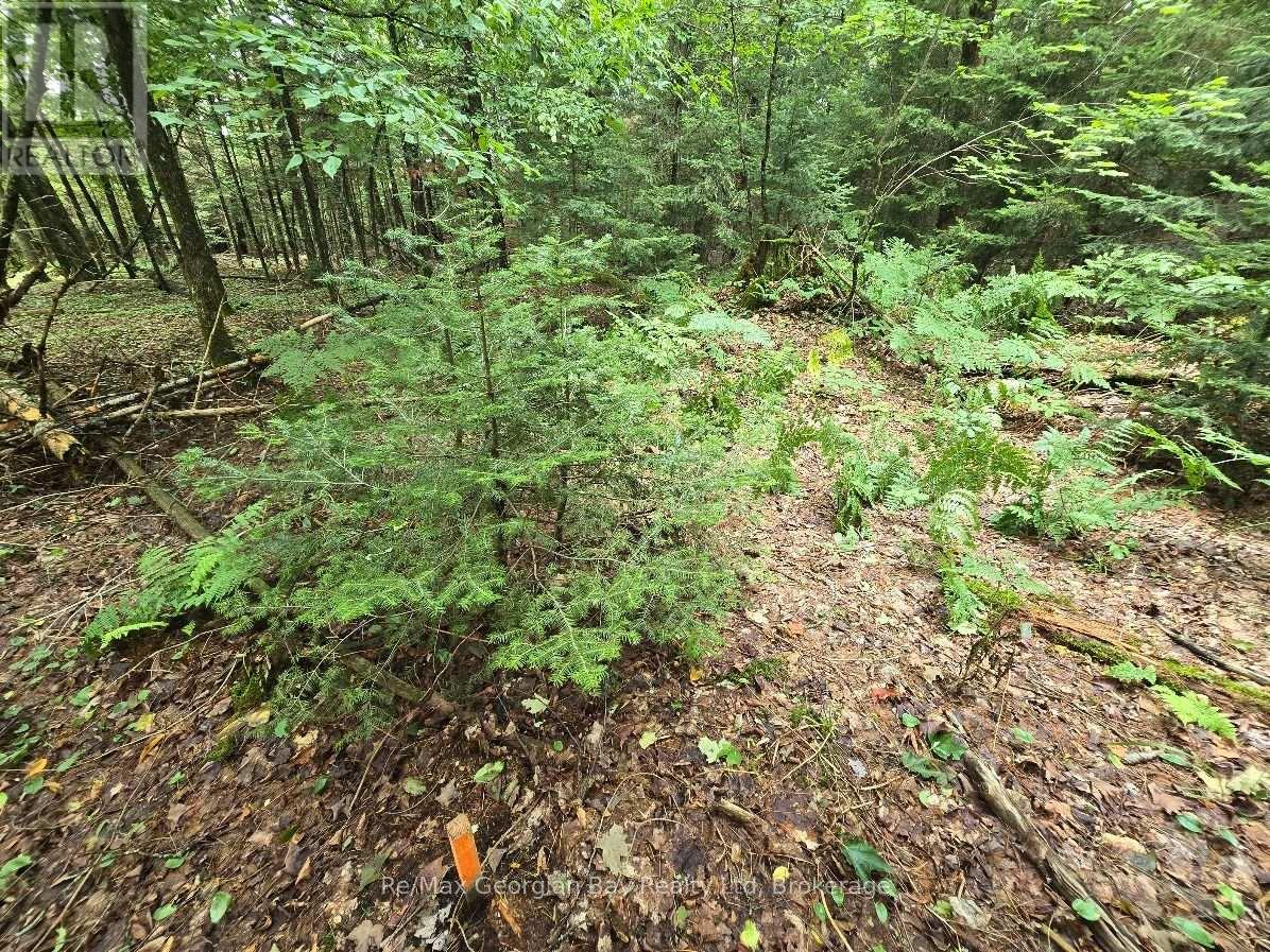 107 Balsam Chutes Road, Huntsville, Ontario  P0B 1L0 - Photo 22 - X13617186