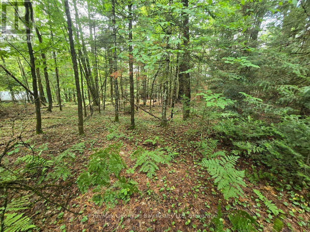 107 Balsam Chutes Road, Huntsville, Ontario  P0B 1L0 - Photo 23 - X13617186