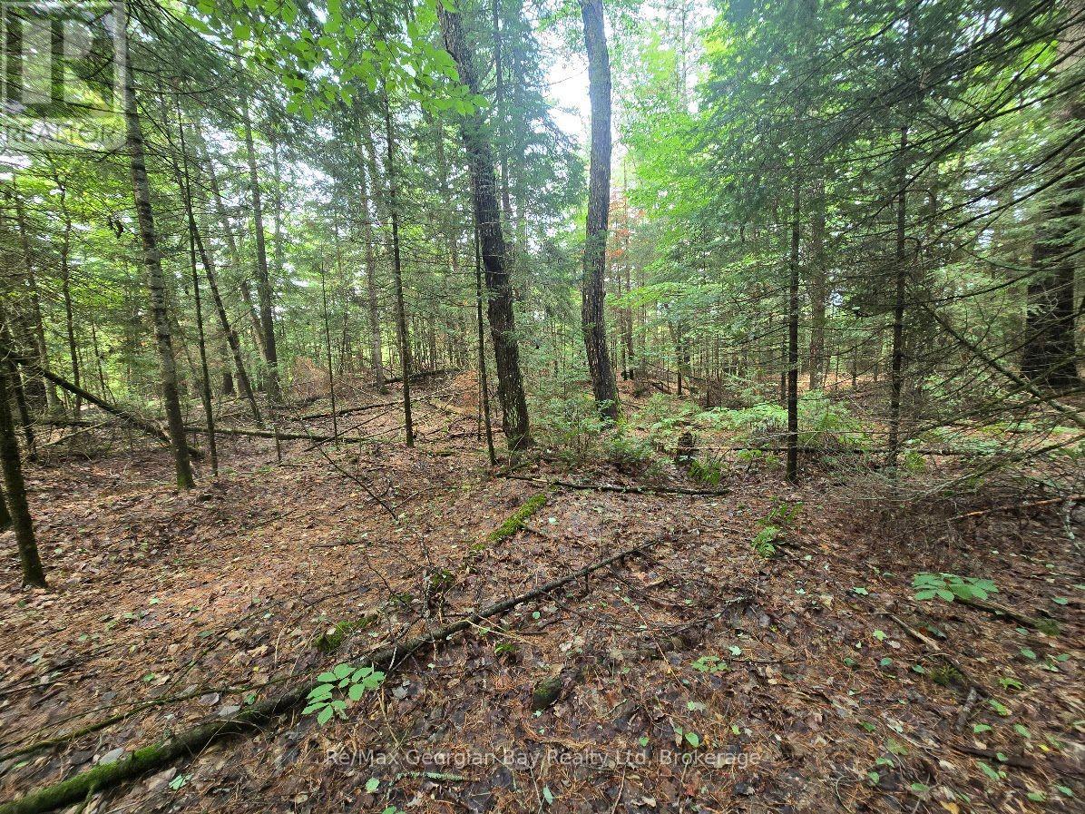 107 Balsam Chutes Road, Huntsville, Ontario  P0B 1L0 - Photo 24 - X13617186