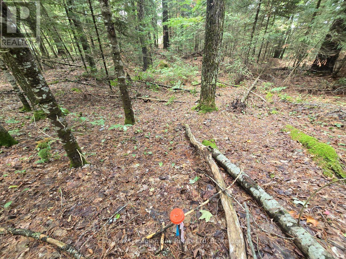 107 Balsam Chutes Road, Huntsville, Ontario  P0B 1L0 - Photo 27 - X13617186